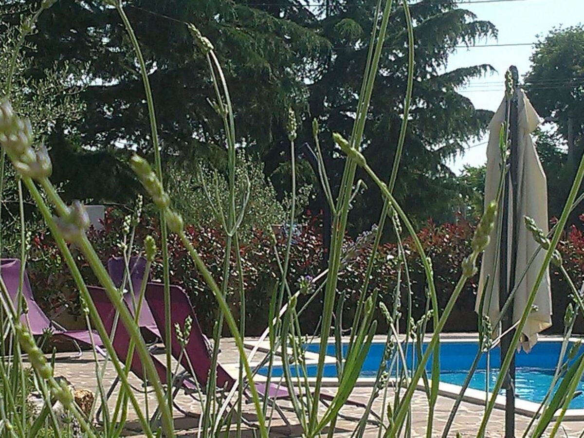 Maison House 1808 à Dracevac, 120 m², piscine privée - Photo 9