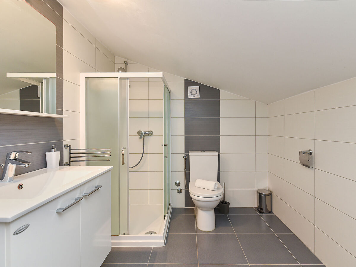 Villa 2019 à Dracevac : 5 chambres, piscine privée - Photo 77