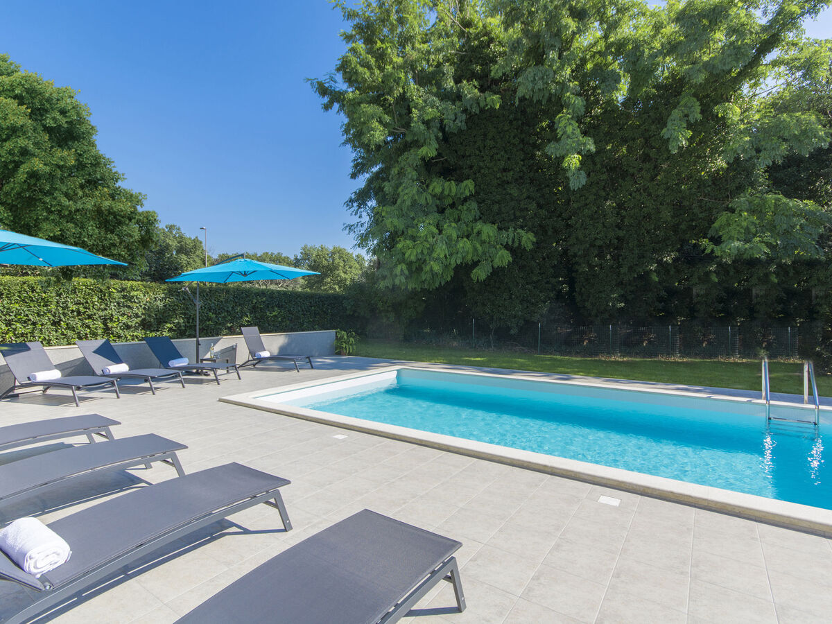 Villa 1863 à Dracevac : 4 chambres, piscine privée - Photo 39