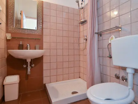Maison 704 à Žminj - 10 lits, piscine privée : photo 43