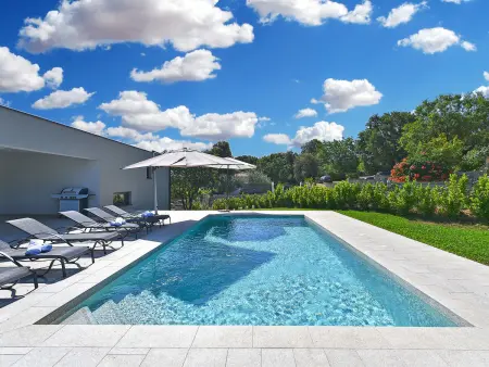 Villa 2044 : maison avec piscine privée près de Bokordici : photo 6