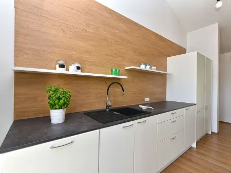 Villa 2044 : maison avec piscine privée près de Bokordici : photo 13