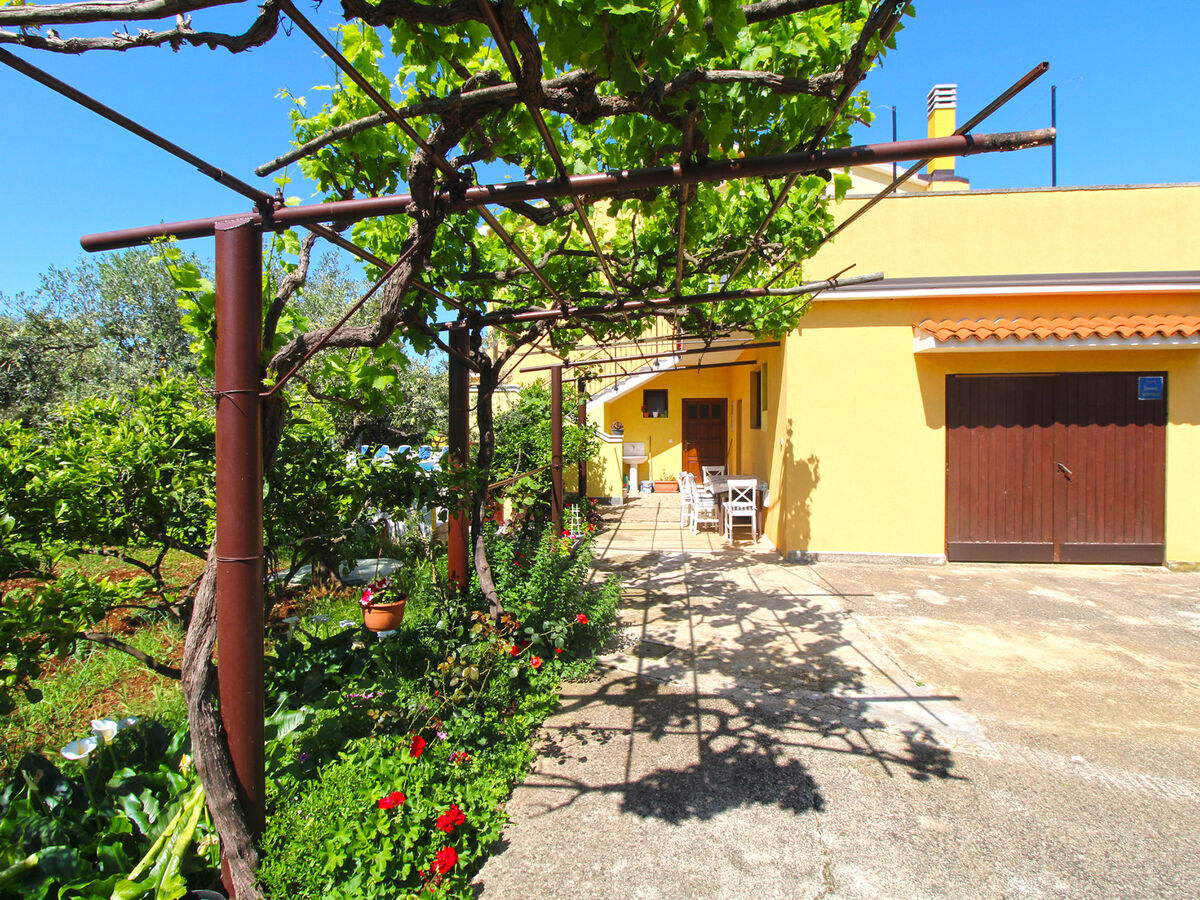 Maison 16 lits avec piscine privée à Vodnjan - Photo 67