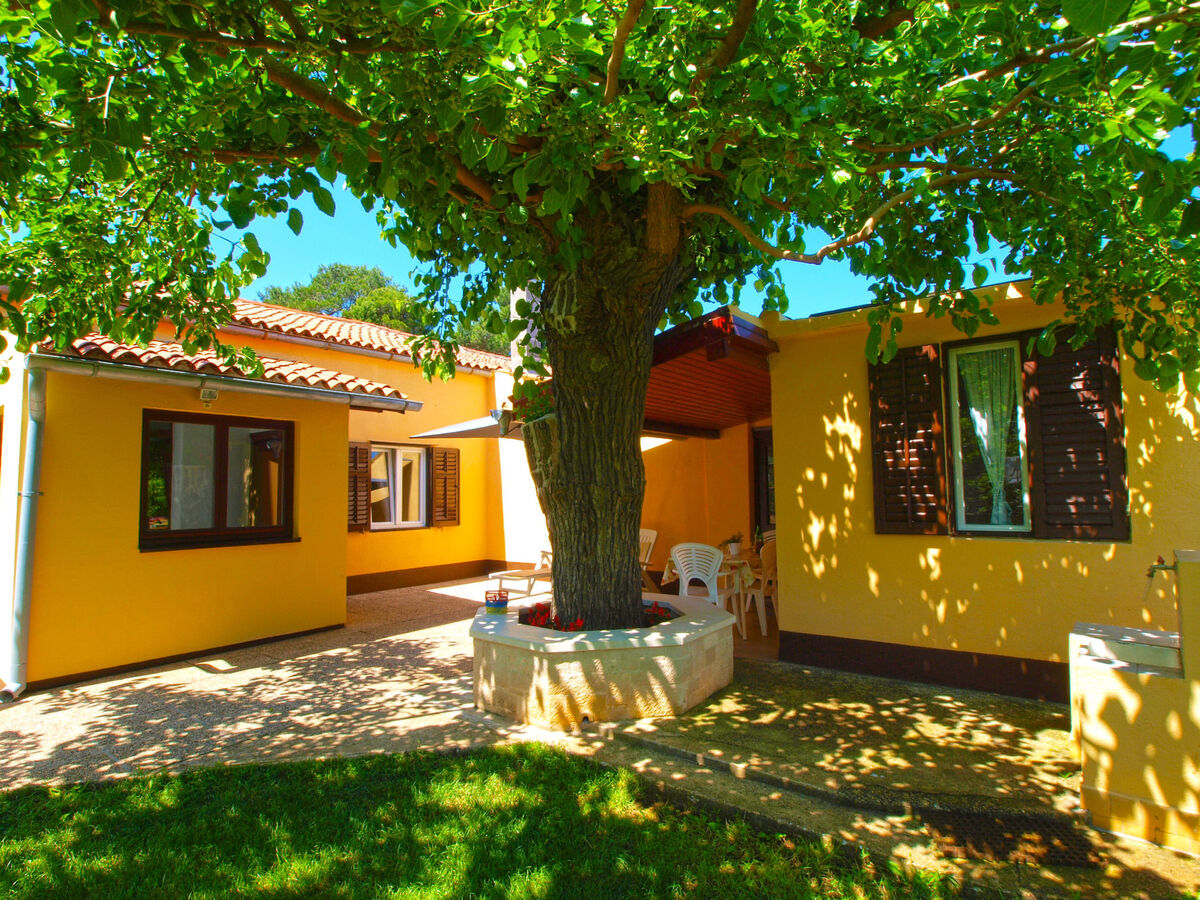 Maison 5 personnes à 300m de la plage à Fažana - Photo 3