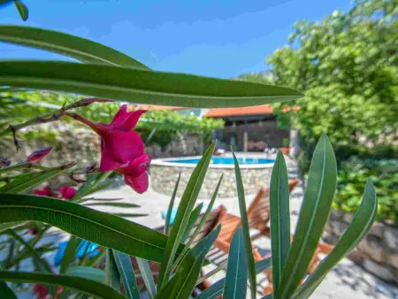 Maison pierre avec piscine privée près de Crikvenica : photo 2