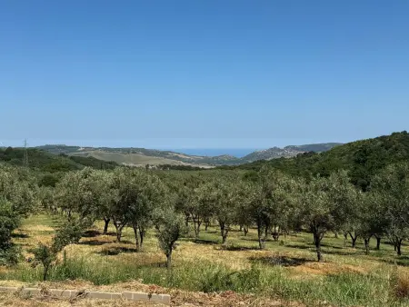 Appartement à Girifalco vue sur mer, piscine communale : photo 50