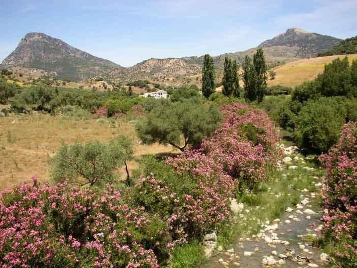 Maison de ferme avec terrasse et accès à cascade - Photo 12