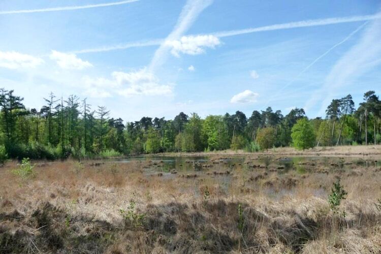 Lodge de luxe en forêt avec jardin à Ravels - Photo 20