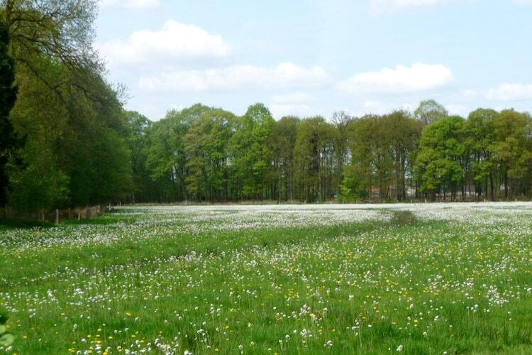 Lodge de luxe en forêt avec jardin à Ravels - Photo 21
