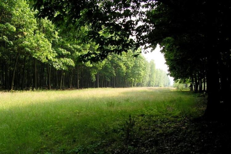 Lodge de luxe en forêt avec jardin à Ravels - Photo 24