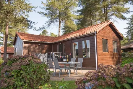 Location maison à Ravels, Chalet de luxe en forêt avec jardin privé