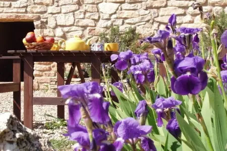 Mas de l'Arlequi à Rojals : maison 12 pers, piscine : photo 40