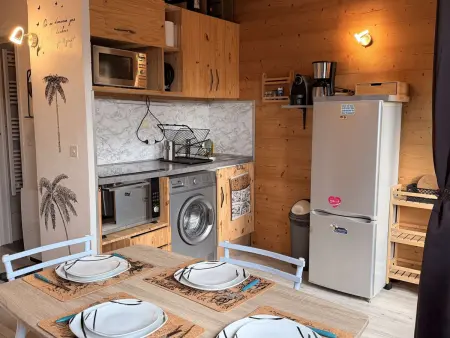 Location appartement à Les Carroz d'Arâches, Studio mezzanine ensoleillé, proche pistes, Les Carroz dArâches