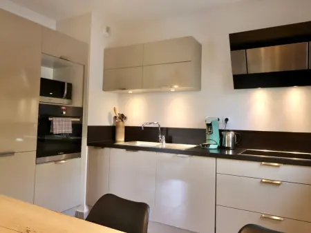 Appartement contemporain à Annecy, terrasse et animaux admis - Photo 2