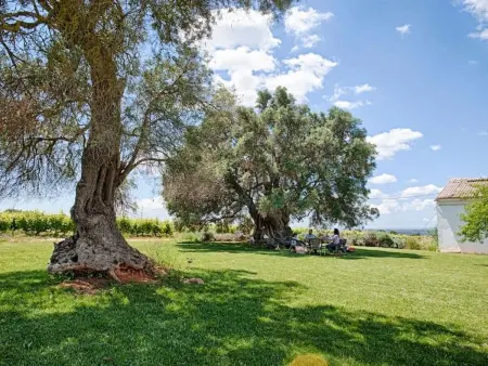 Ferienvilla mit Garten, Grill und Terrasse, Maison 11 personnes à Silves - Photo 3