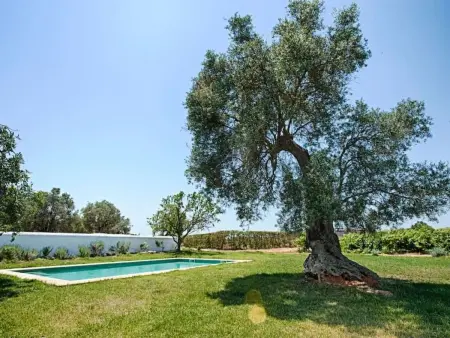 Ferienvilla mit Garten, Grill und Terrasse, Maison 11 personnes à Silves - Photo 5