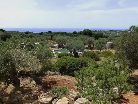 Villa d'architecte avec piscine 13m à Acquarica del Capo : photo 9