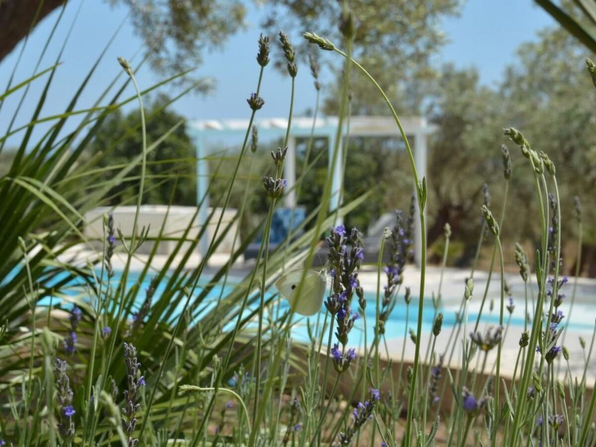 Villa Paradiso di Noto – 3 chambres, pool et oliviers - Photo 34