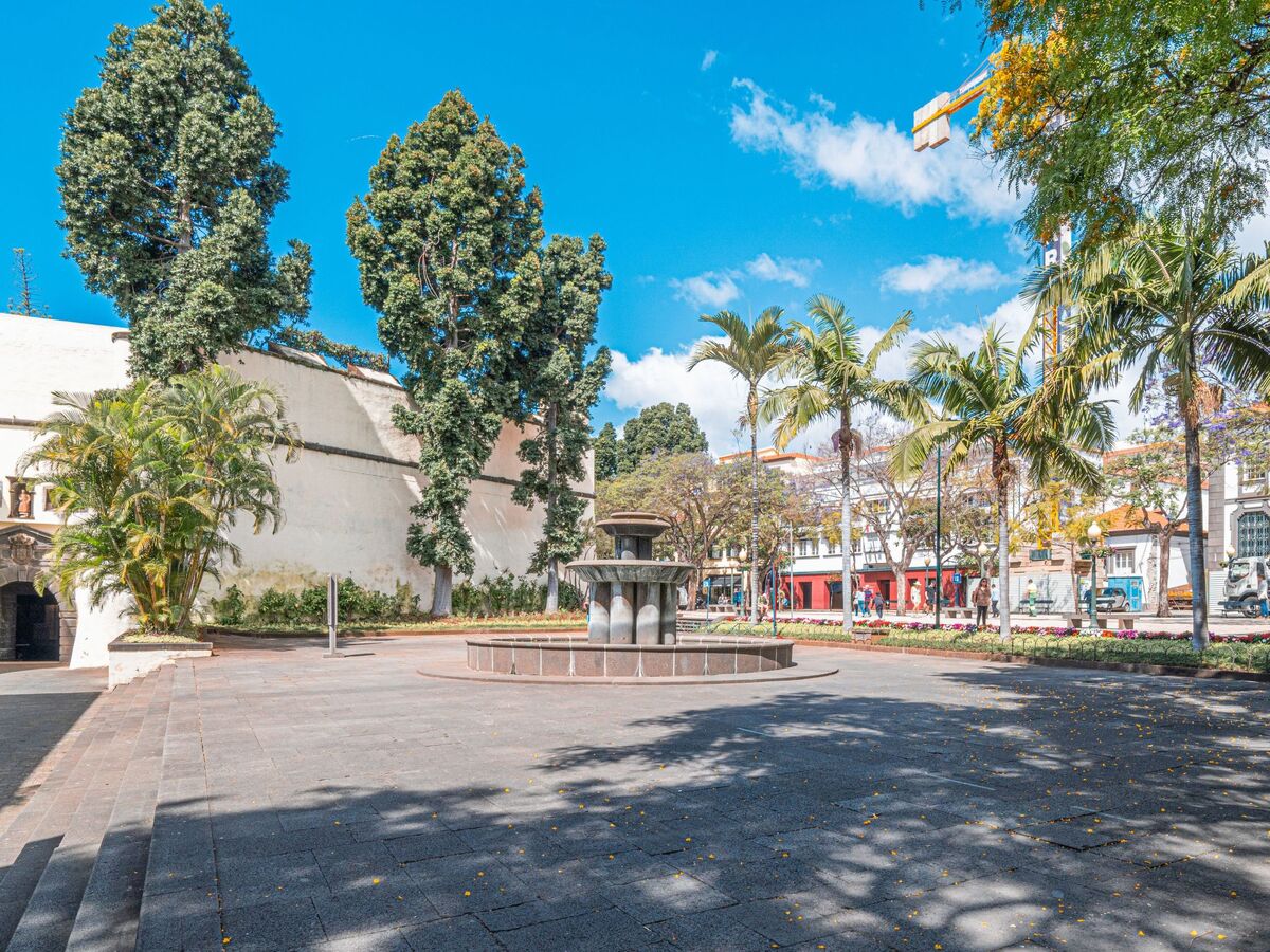 Appartement centre-ville Funchal, 700 m de la plage - Photo 3