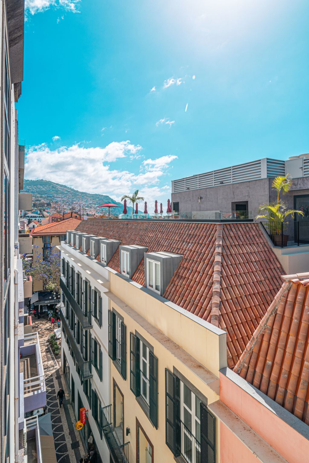 Appartement centre-ville Funchal, 700 m de la plage - Photo 6
