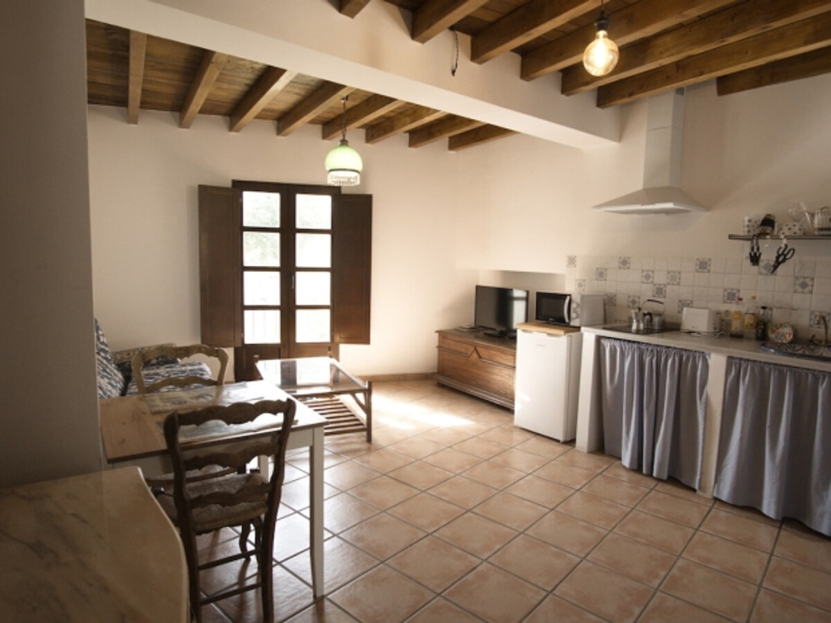 Studio loft 40 m² historique, Alhambra 10 min à pied - Photo 3