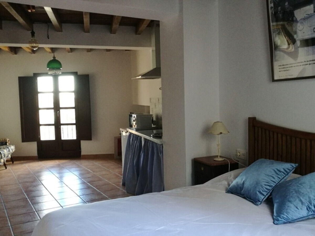Studio loft 40 m² historique, Alhambra 10 min à pied - Photo 11