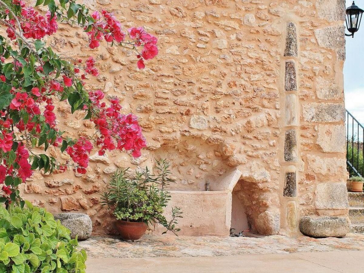 Finca Son Gabriela – Maison 8 pers. avec piscine - Photo 11