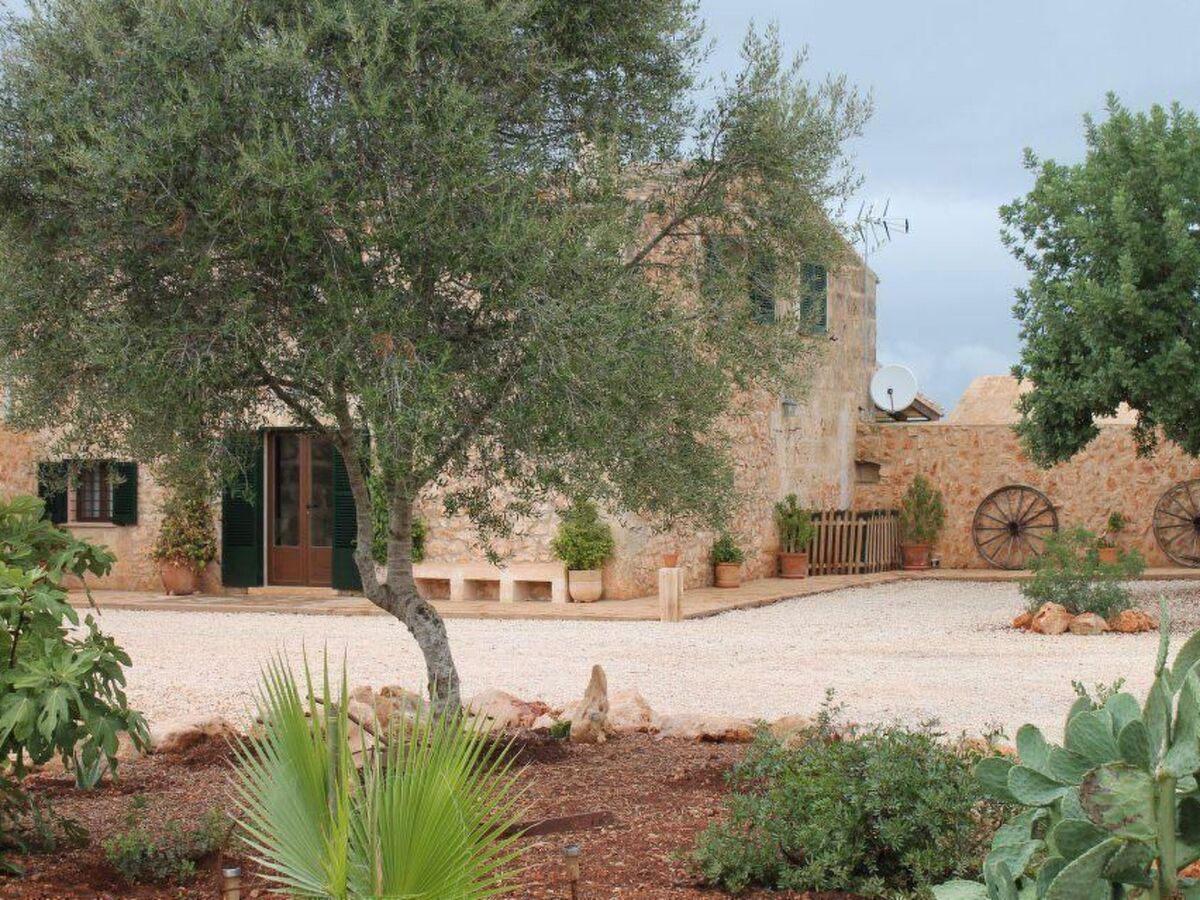 Finca Son Dalabau – 4 ch., piscine et court de tennis - Photo 31