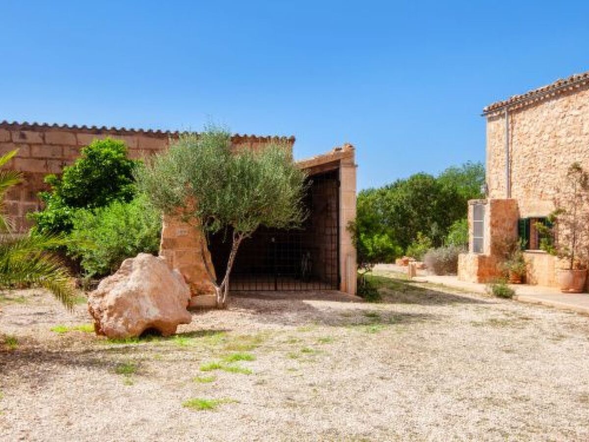 Finca Son Dalabau – 4 ch., piscine et court de tennis - Photo 44