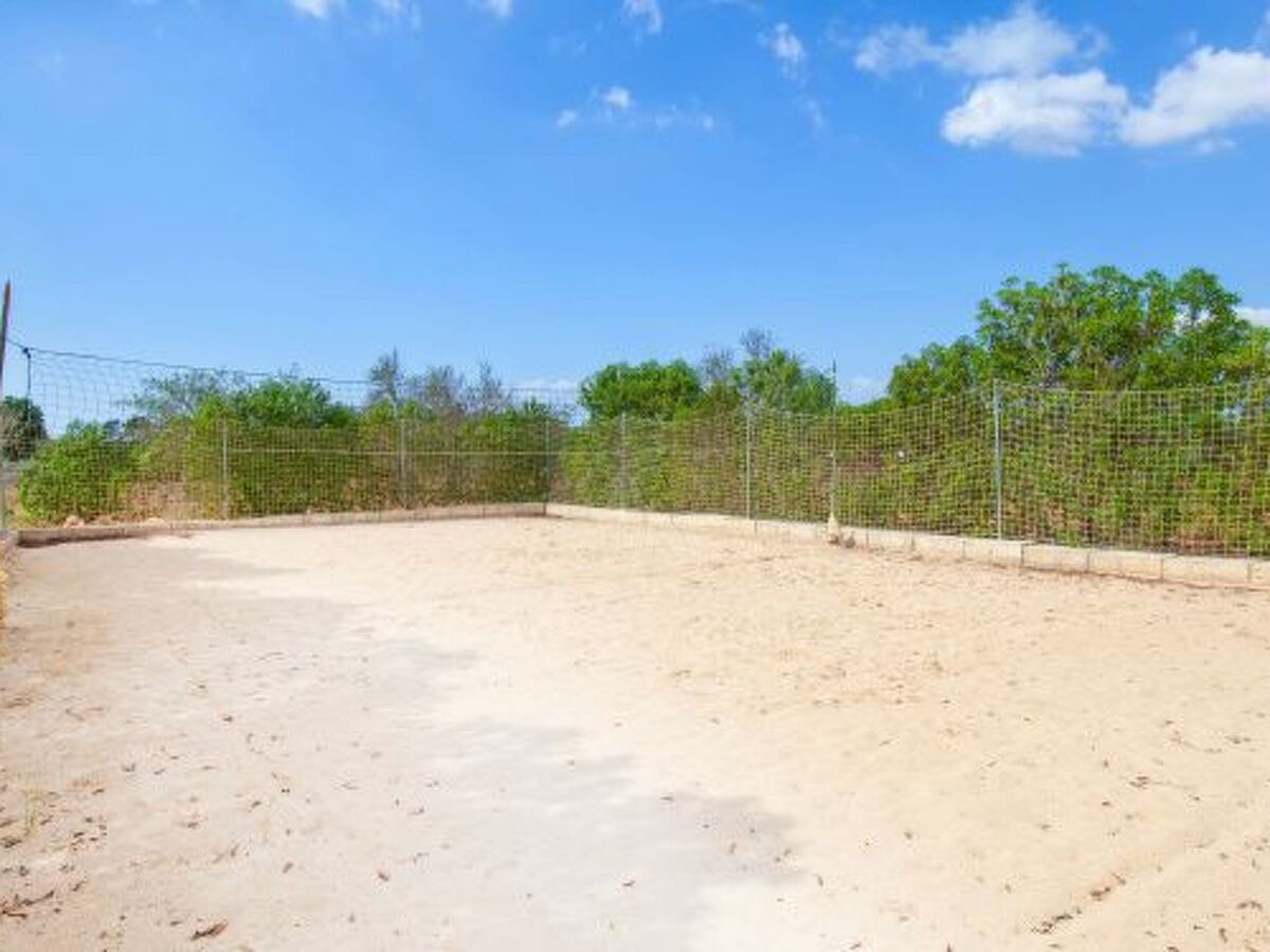 Finca Son Dalabau – 4 ch., piscine et court de tennis - Photo 45