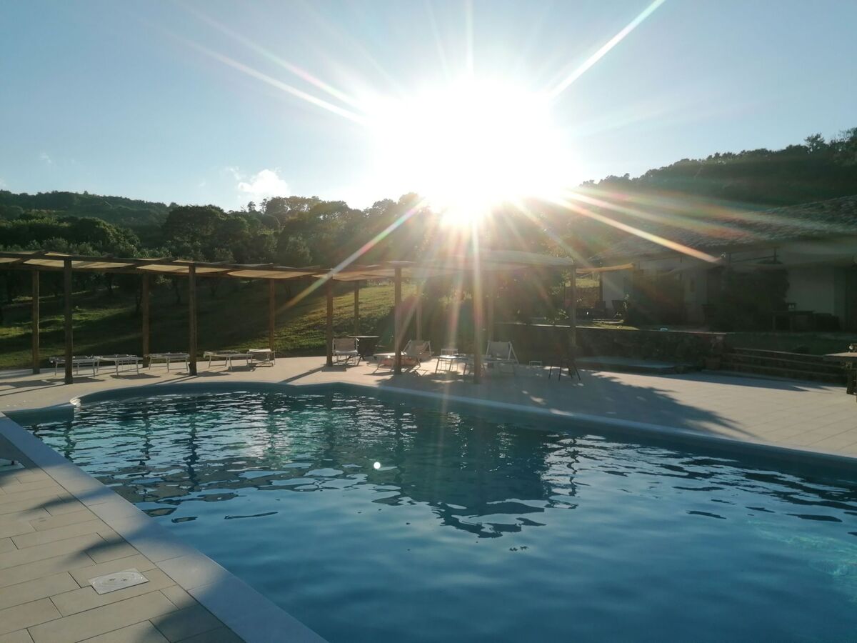 Maison Arcobaleno : oliveraie, piscine et mer à 15 min - Photo 12