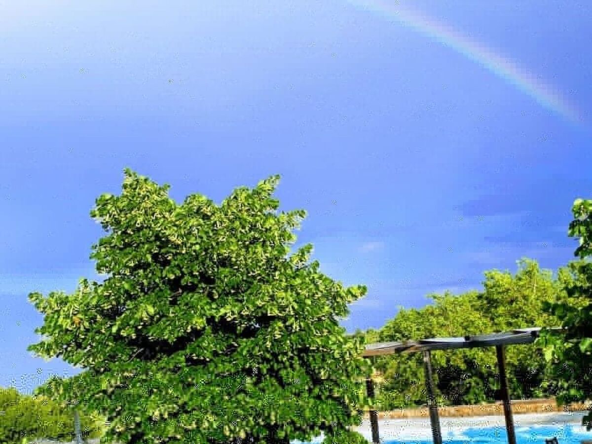 Maison Arcobaleno : oliveraie, piscine et mer à 15 min - Photo 17