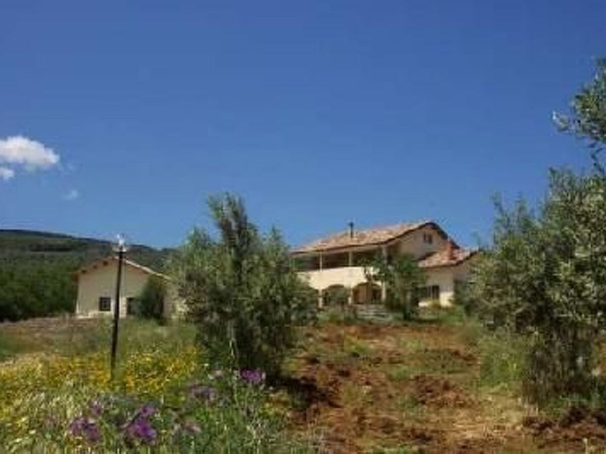 Maison Arcobaleno : oliveraie, piscine et mer à 15 min - Photo 32