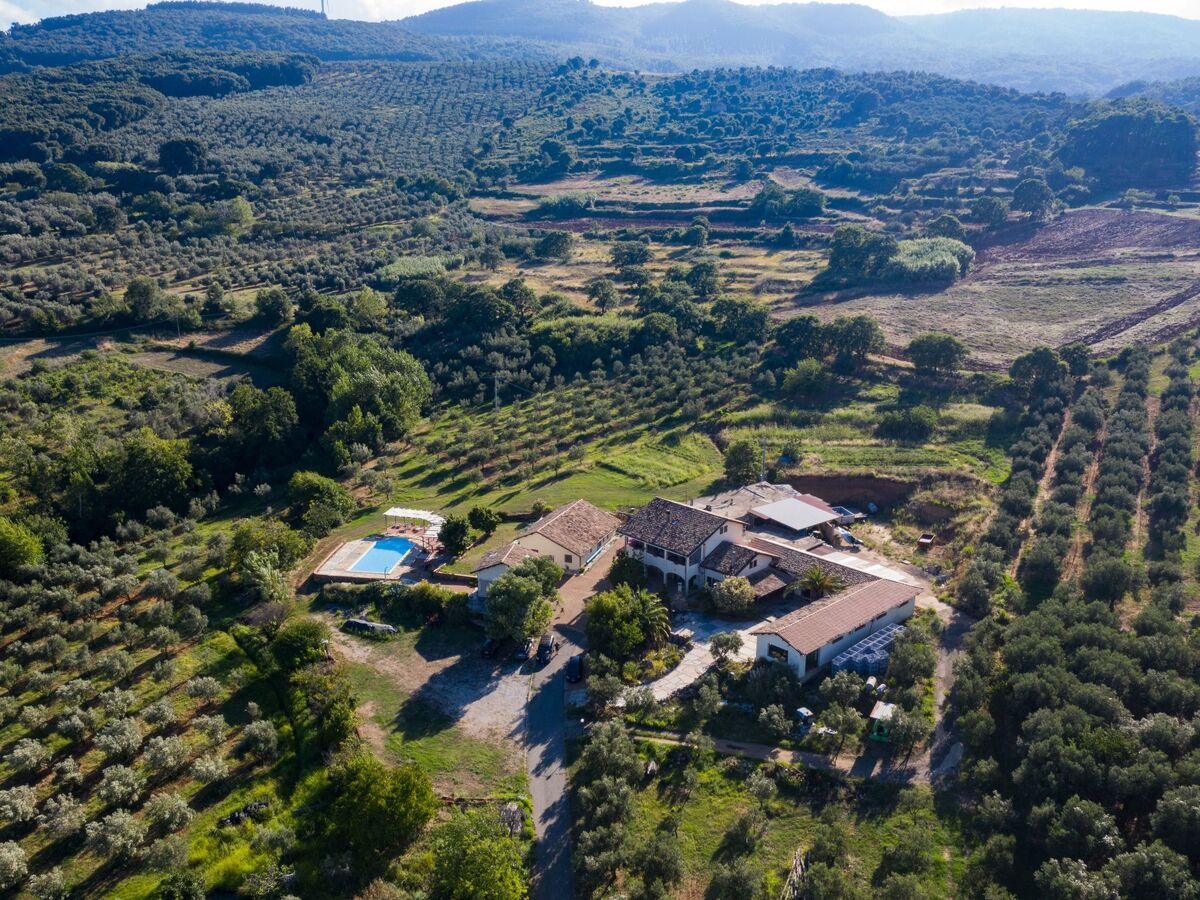 Maison Arcobaleno : oliveraie, piscine et mer à 15 min - Photo 33