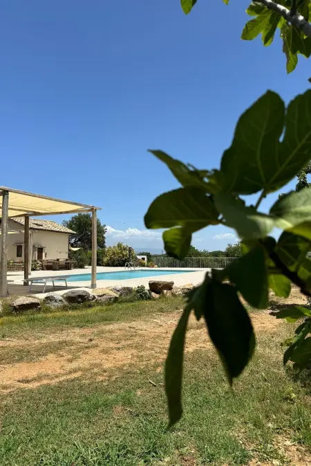 Maison mitoyenne avec vue sur la mer, piscine à Girifalco : photo 16