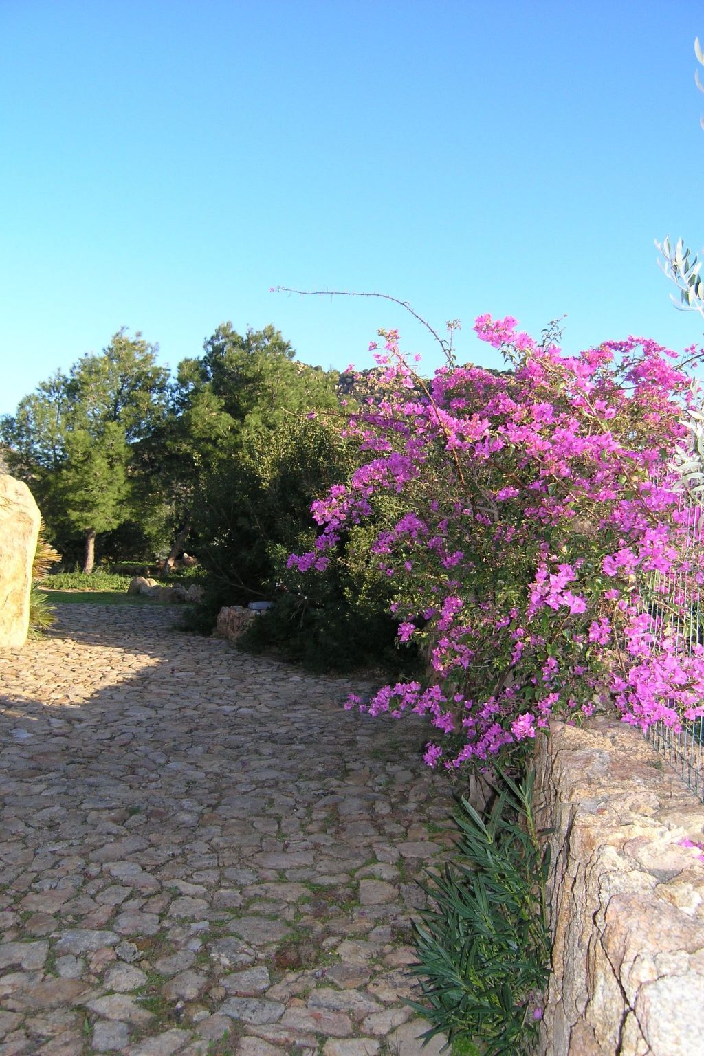 Anania – Maison 6 pers. avec vue mer à Cala Liberotto - Photo 5