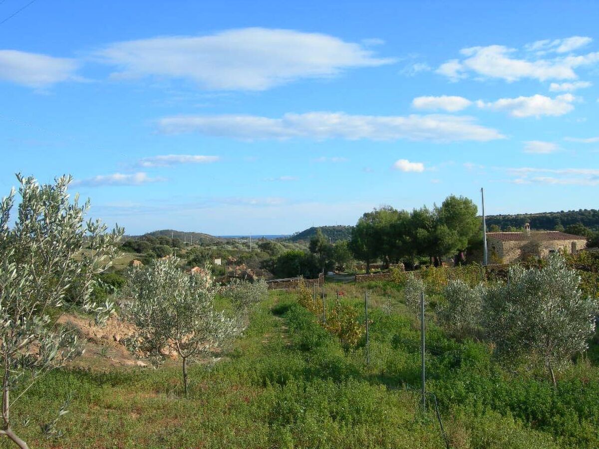 Anania – Maison 6 pers. avec vue mer à Cala Liberotto - Photo 17