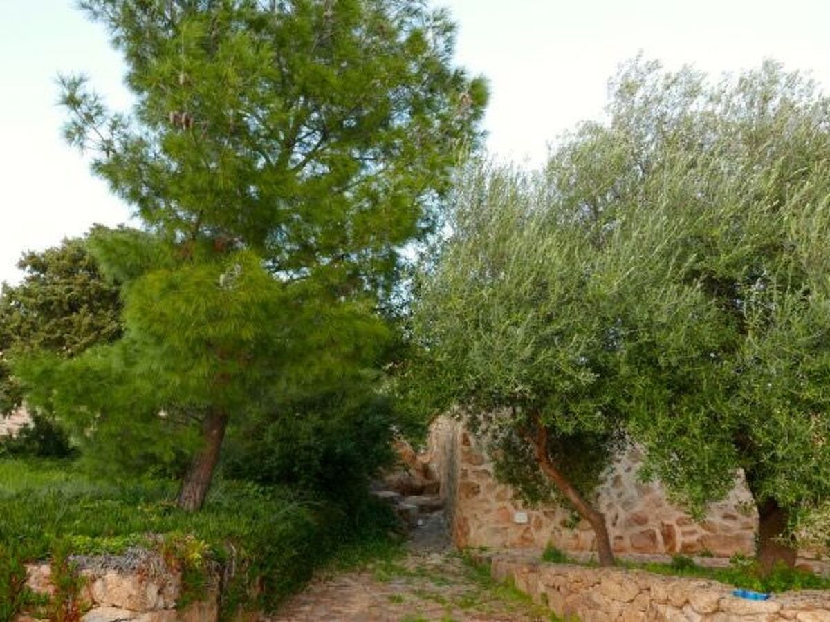 Anania – Maison 6 pers. avec vue mer à Cala Liberotto - Photo 25
