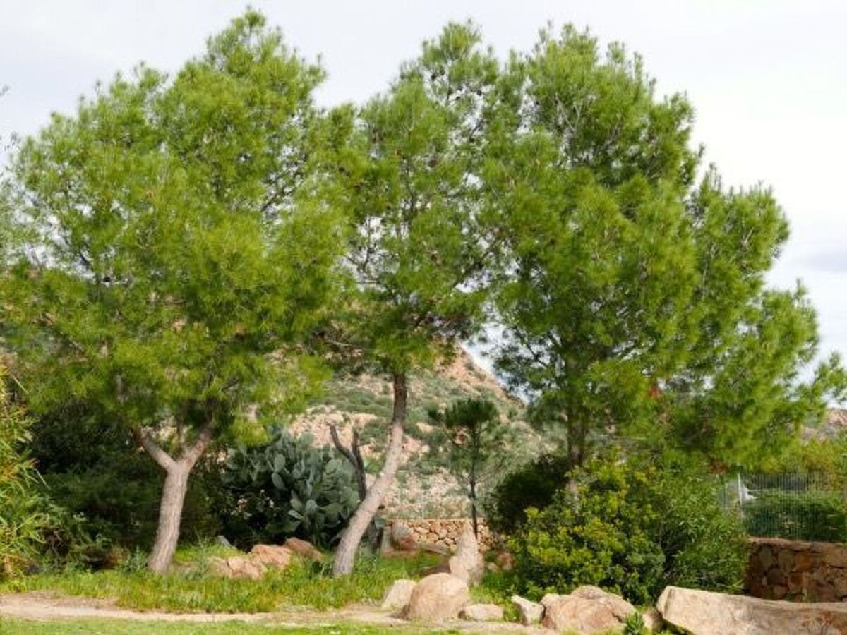 Anania – Maison 6 pers. avec vue mer à Cala Liberotto - Photo 30