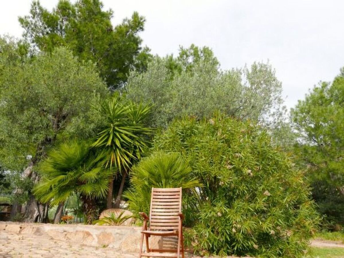 Anania – Maison 6 pers. avec vue mer à Cala Liberotto - Photo 31