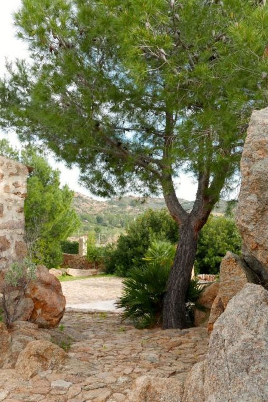 Anania – Maison 6 pers. avec vue mer à Cala Liberotto - Photo 33