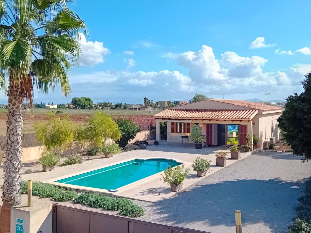 Maison rustique Campanet, piscine privée 8x4m - Photo 1