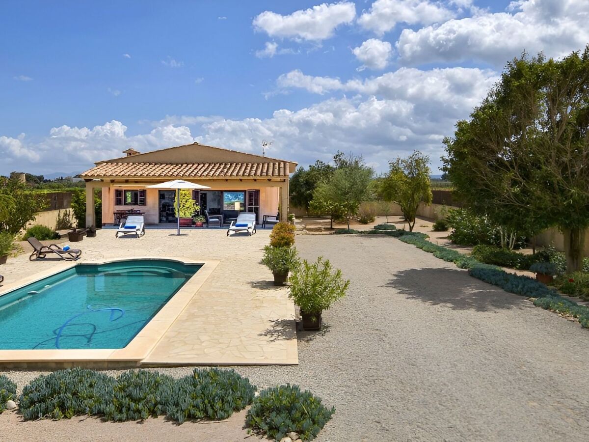 Maison rustique Campanet, piscine privée 8x4m - Photo 3