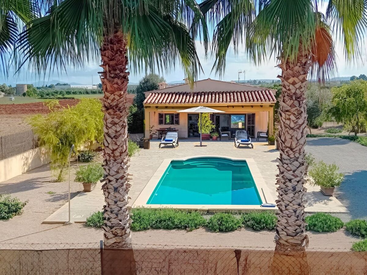 Maison rustique Campanet, piscine privée 8x4m - Photo 4