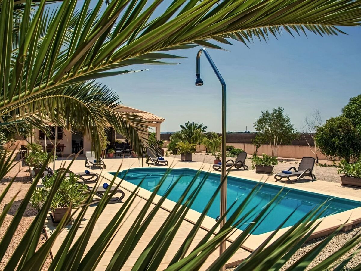 Maison rustique Campanet, piscine privée 8x4m - Photo 8
