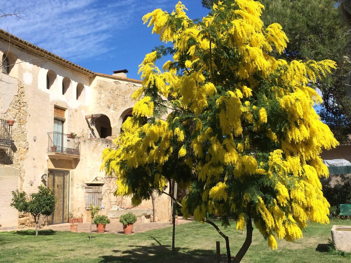 Ferme rénovée du 17ème avec piscine privée et grand jardin à Corçà, proche des plages de la Costa Brava - Photo 9