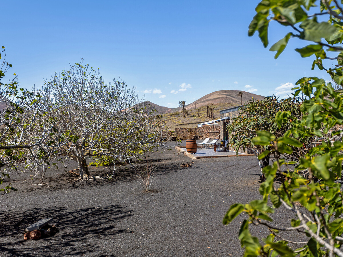 Finca La Molina: Maison 1 chambre avec terrasse et piscine à Haría - Photo 26