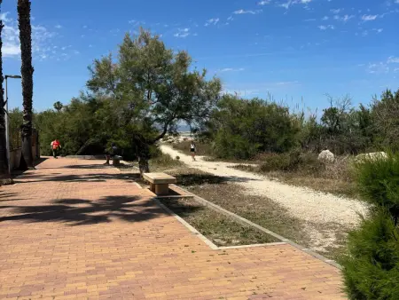 Villa 6 pers. à Dénia, piscine 8x4m, à 1,5 km plage : photo 23