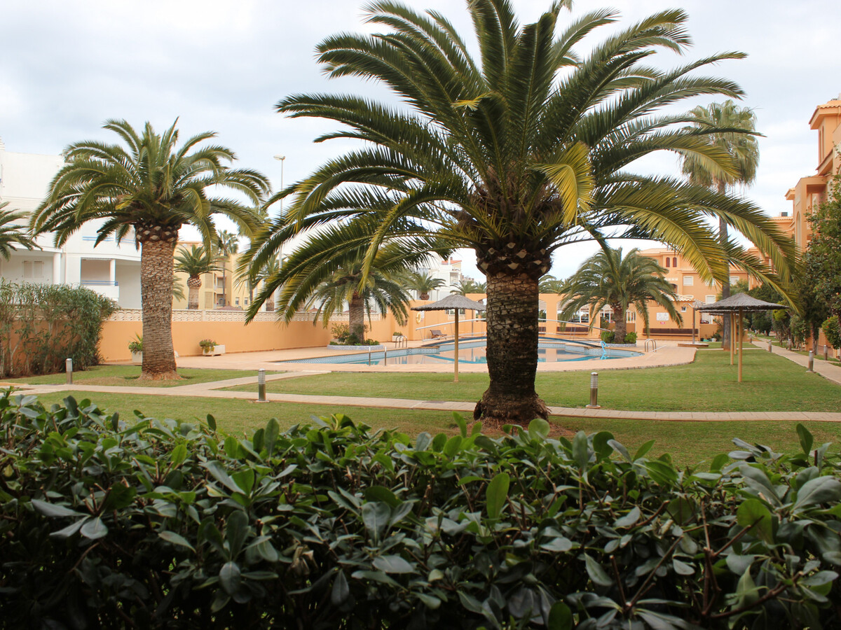 Appartement première ligne plage, piscine à Dénia - Photo 17