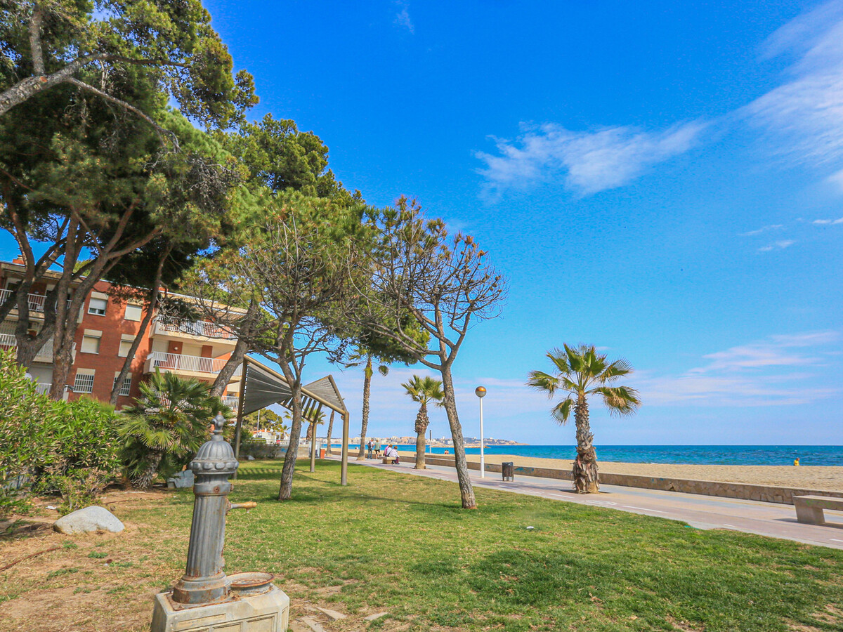 Appartement TXINGUDI, 1 chambre 4 personnes à Cambrils - Photo 33
